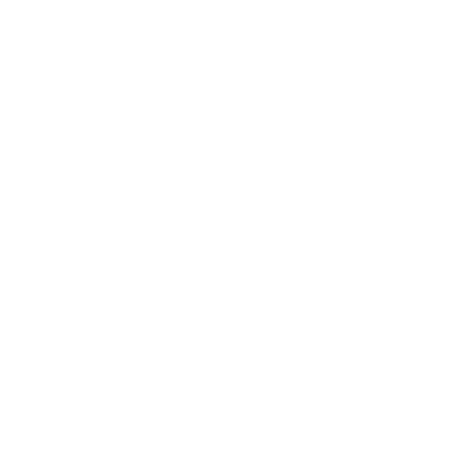 50+ Digital Experts